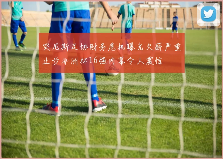 突尼斯足协财务危机曝光欠薪严重止步非洲杯16强内幕令人震惊